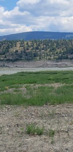 Reclamation test plot